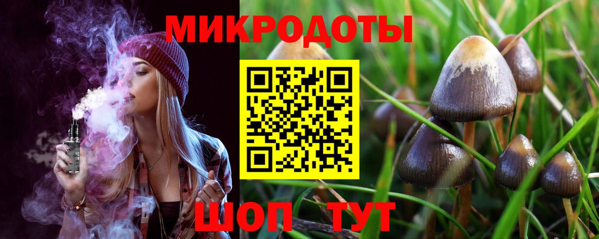 Псилоцибиновые грибы мухоморы  Галлюциногенные грибы мухоморы  где продают   Богородск  Вход с VPN 